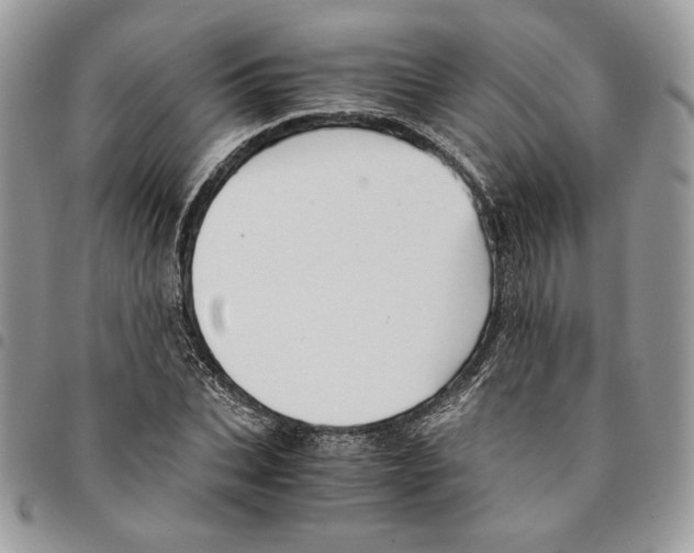 X0000094950927200712271654