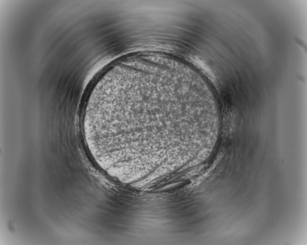 X0000094950928200712271654