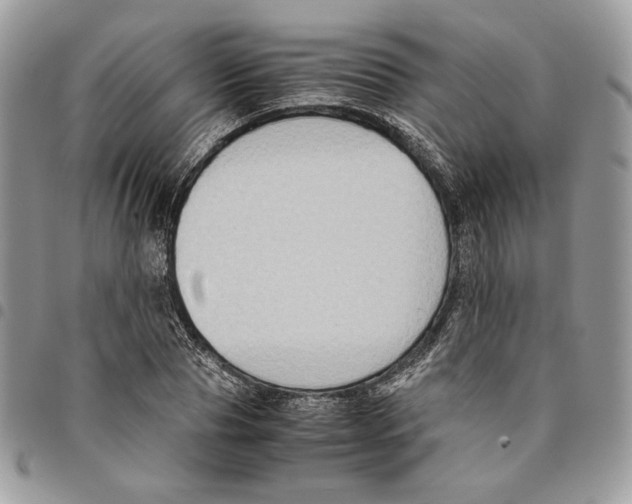 X0000094950929200712271654