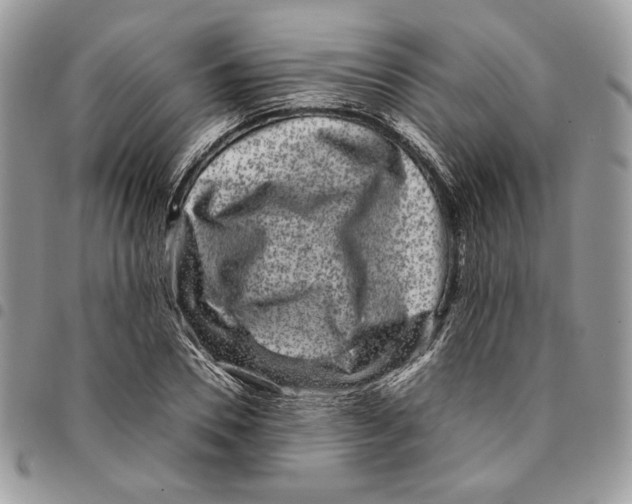 X0000094950930200712271654