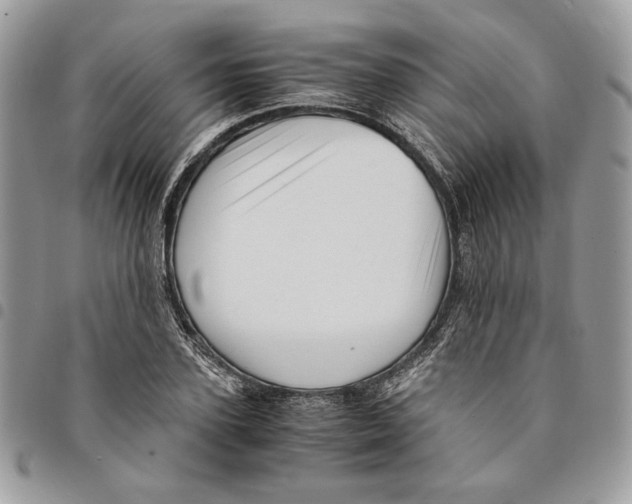 X0000094950931200712271654