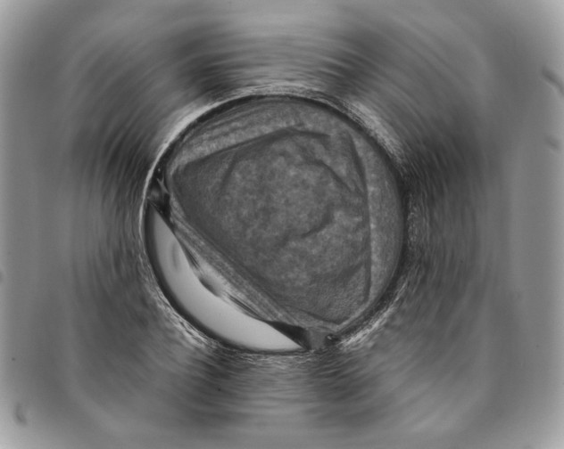 X0000094950932200712271654