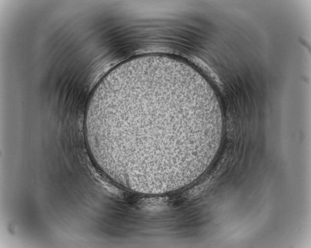 X0000094950937200712271654