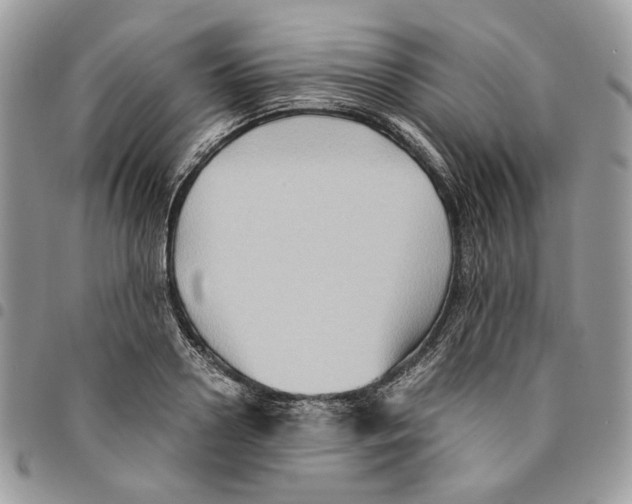 X0000094950938200712271654