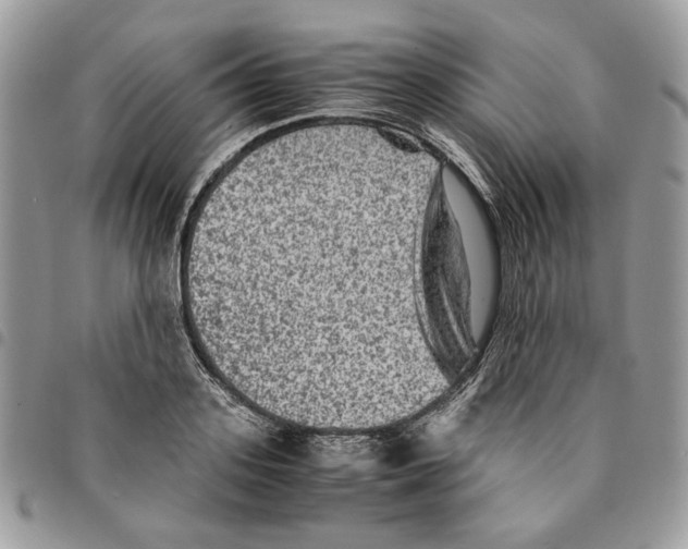 X0000094950939200712271654