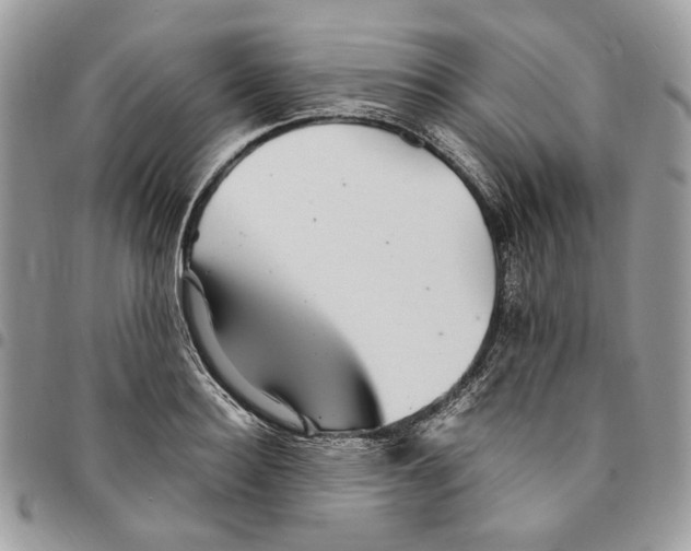 X0000094950940200712271654