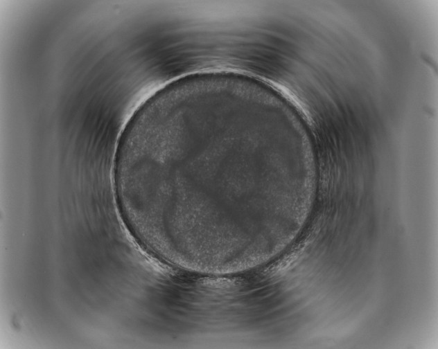 X0000094950943200712271654