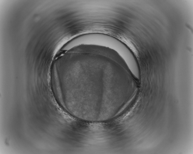 X0000094950944200712271654