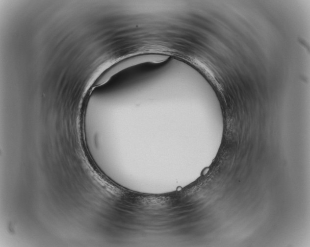 X0000094950947200712271654