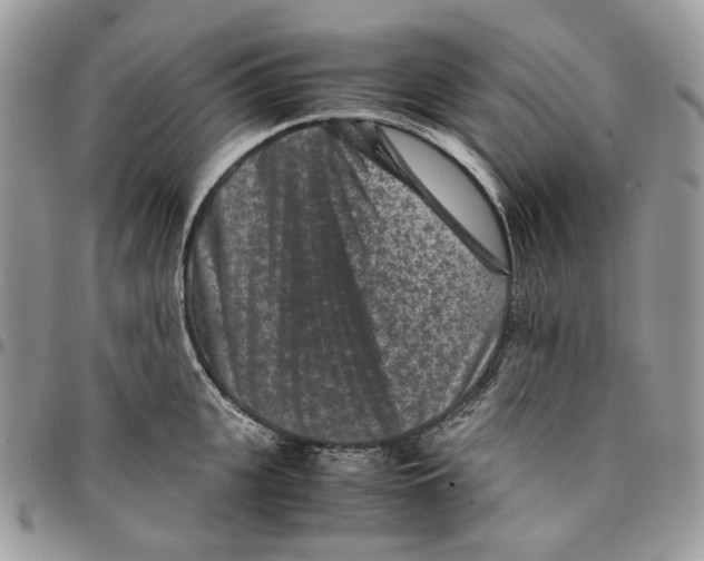 X0000094950951200712271654