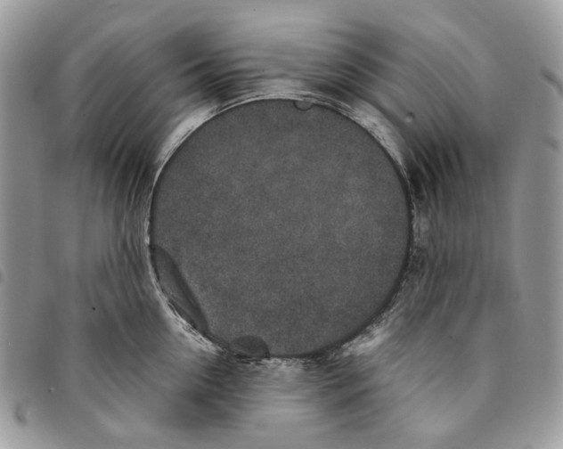 X0000094950954200712271654