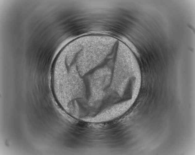 X0000094950955200712271654