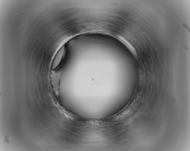 X0000094950956200712271654