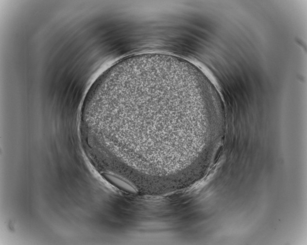 X0000094950957200712271654