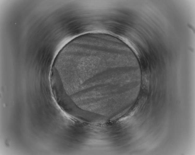 X0000094950959200712271654