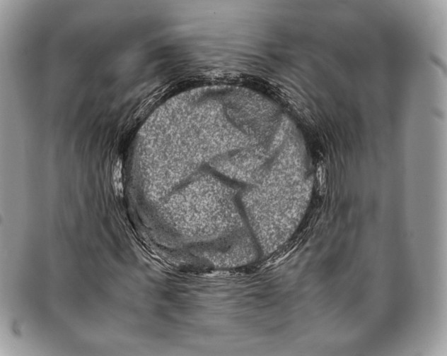 X0000094950963200712271654