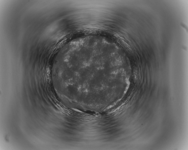 X0000094950964200712271654