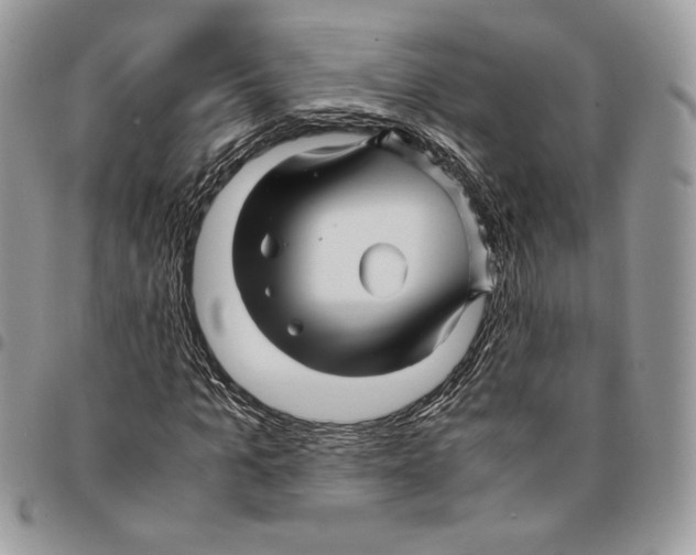 X0000094950965200712271654