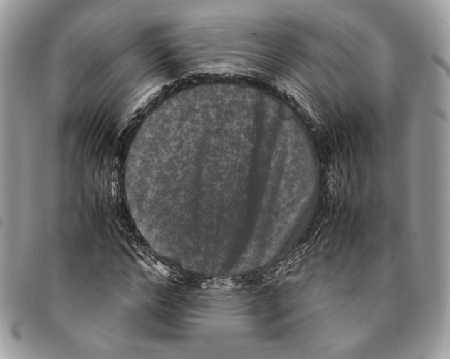 X0000094950968200712271654