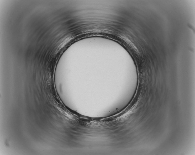 X0000094950969200712271654