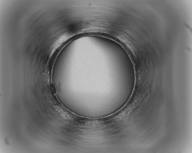 X0000094950973200712271654