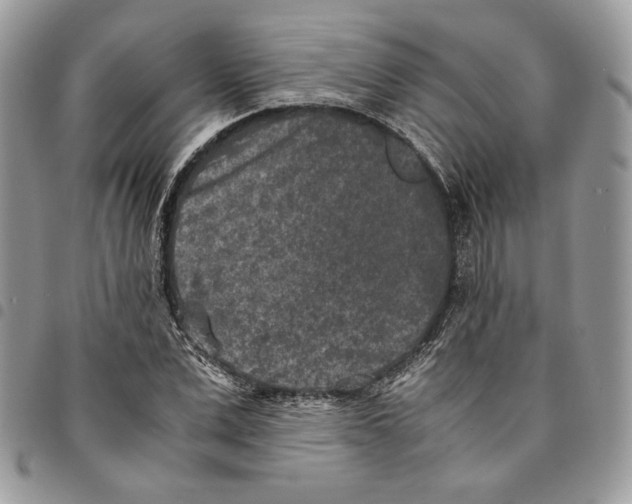 X0000094950975200712271654