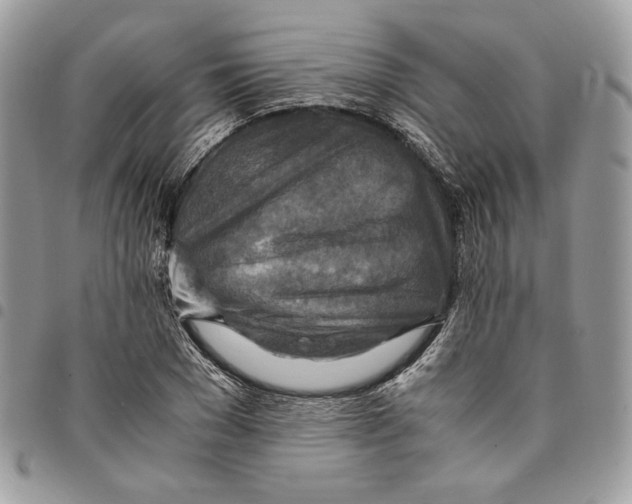 X0000094950977200712271654