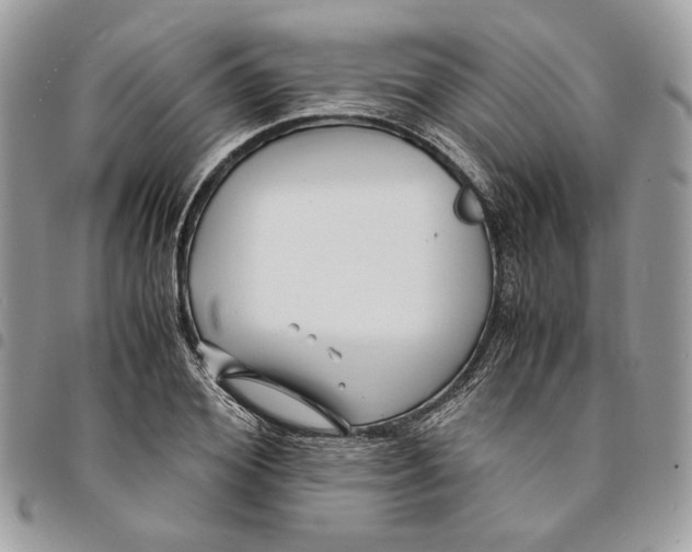 X0000094950980200712271654