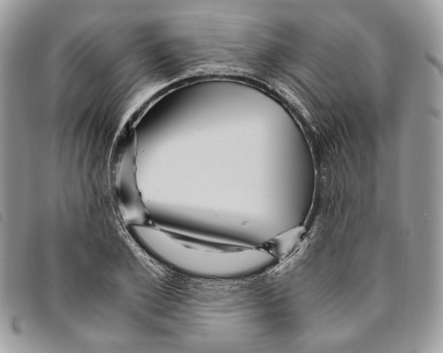 X0000094950981200712271654