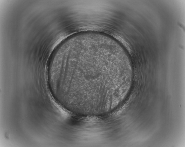 X0000094950983200712271653