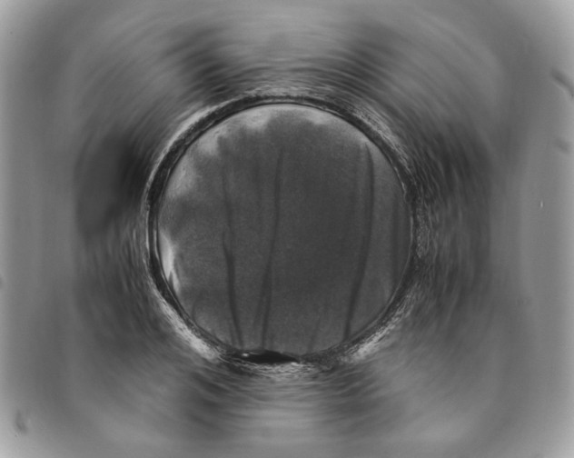 X0000094950984200712271653