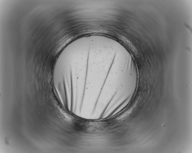 X0000094950985200712271653