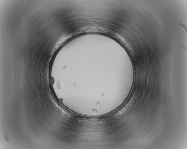 X0000094950986200712271653