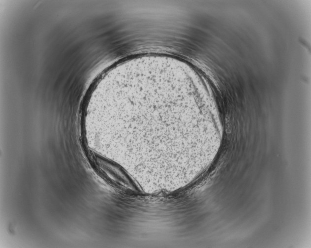 X0000094950987200712271653