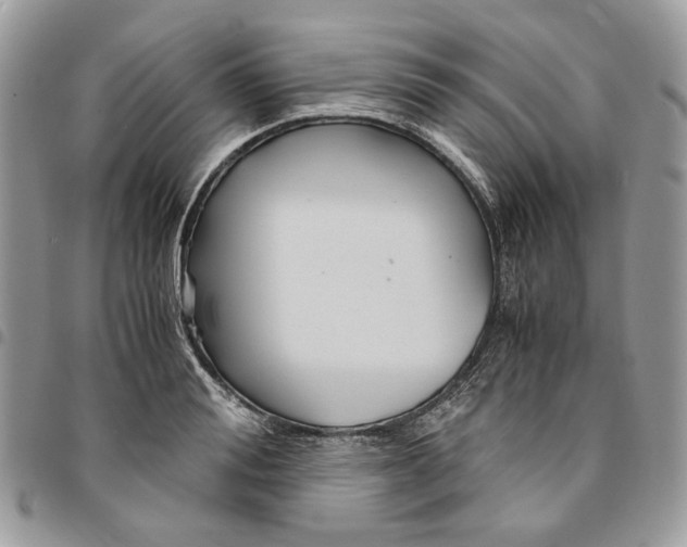 X0000094950988200712271653