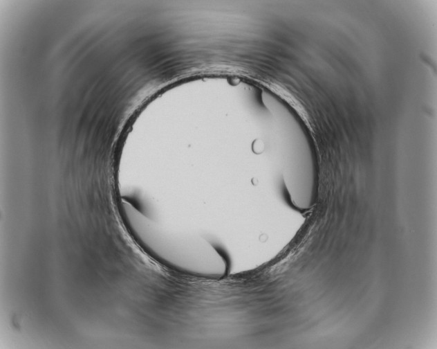 X0000094950989200712271653