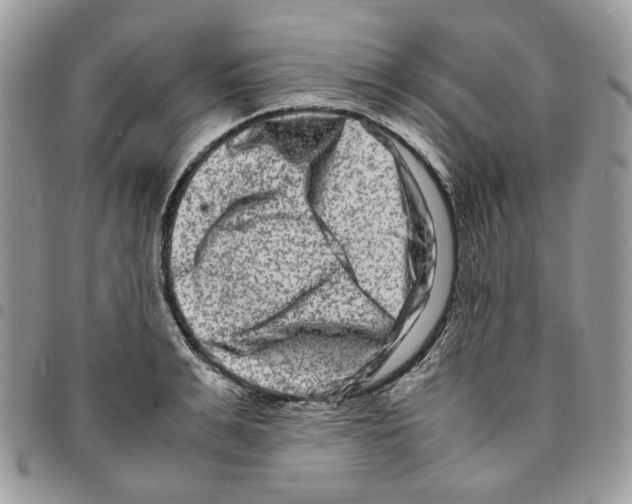 X0000094950991200712271653