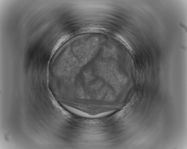 X0000094950994200712271653