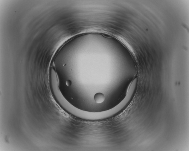 X0000094950996200712271653