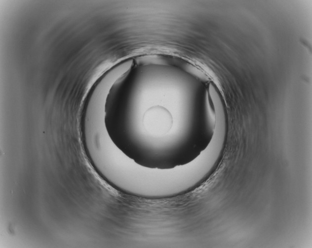 X0000094950997200712271653