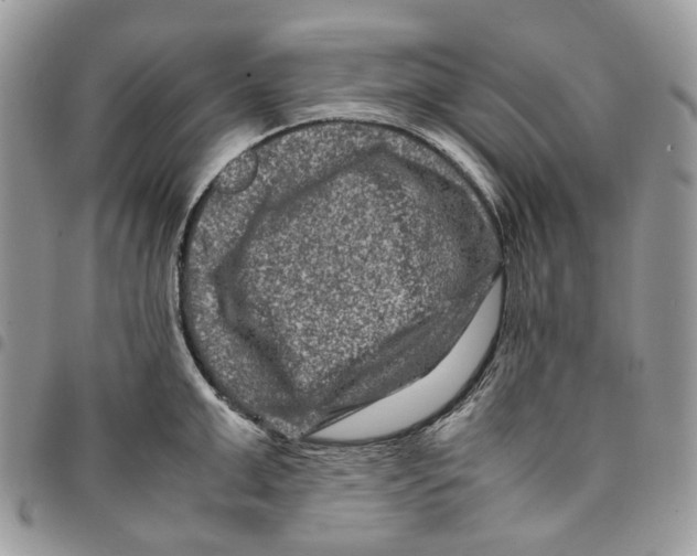 X0000094950999200712271653