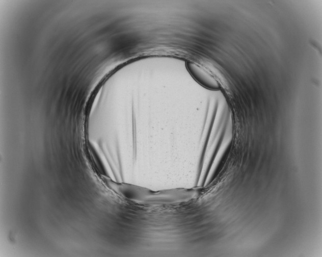 X0000094951000200712271653