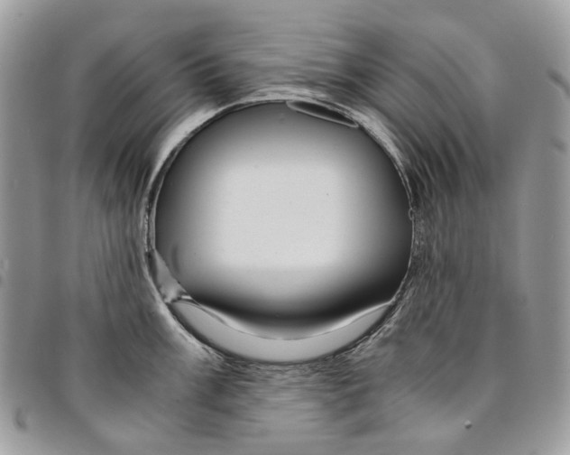 X0000094951003200712271653