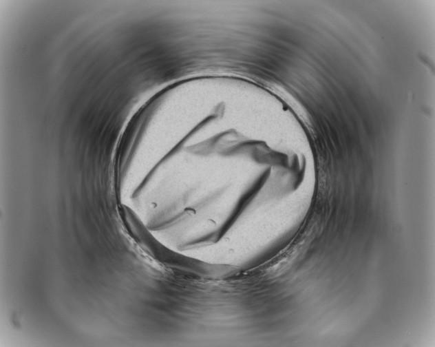 X0000094951004200712271653