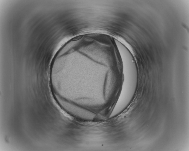 X0000094951005200712271653