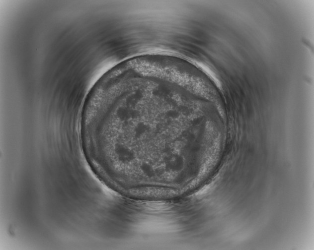 X0000094951007200712271653