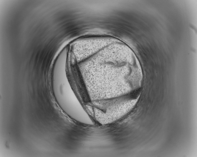 X0000094951008200712271653