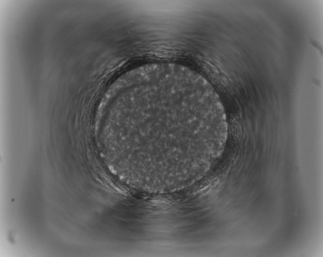 X0000094951009200712271652