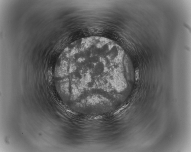 X0000094951011200712271653