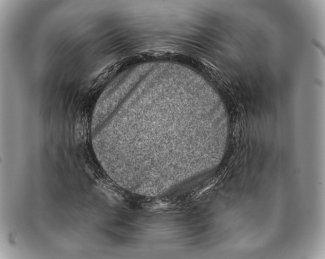 X0000094951014200712271653